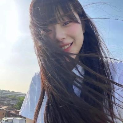 年度鸟事